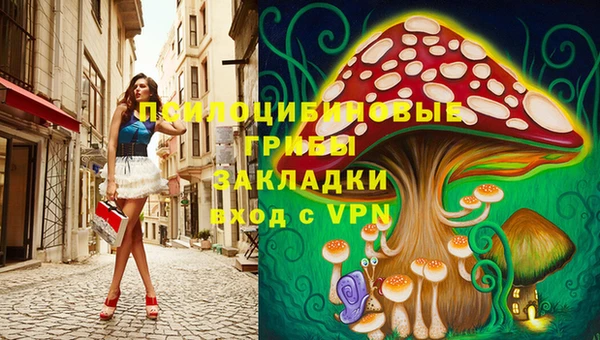 2c-b Кукмор