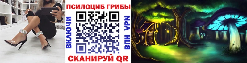 Псилоцибиновые грибы ЛСД  Сокол 