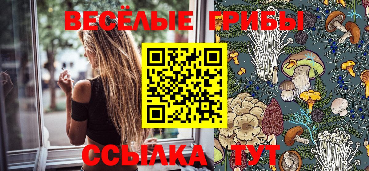 Галлюциногенные грибы MAGIC MUSHROOMS Сокол